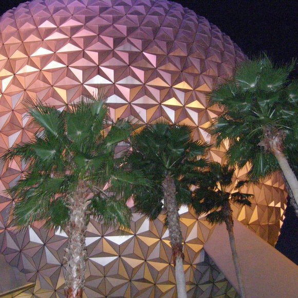 Meet your Posher, Ann - Picture 9 of 16